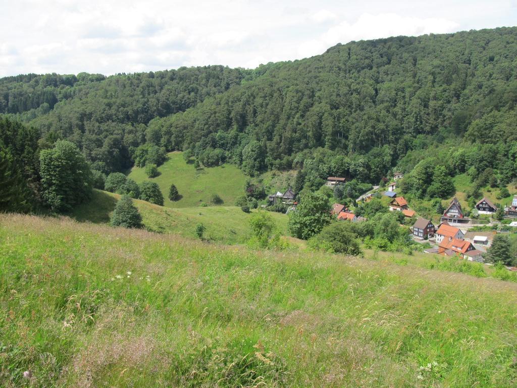 Hexenstieg House Lerbach Osterode am Harz Exterior foto